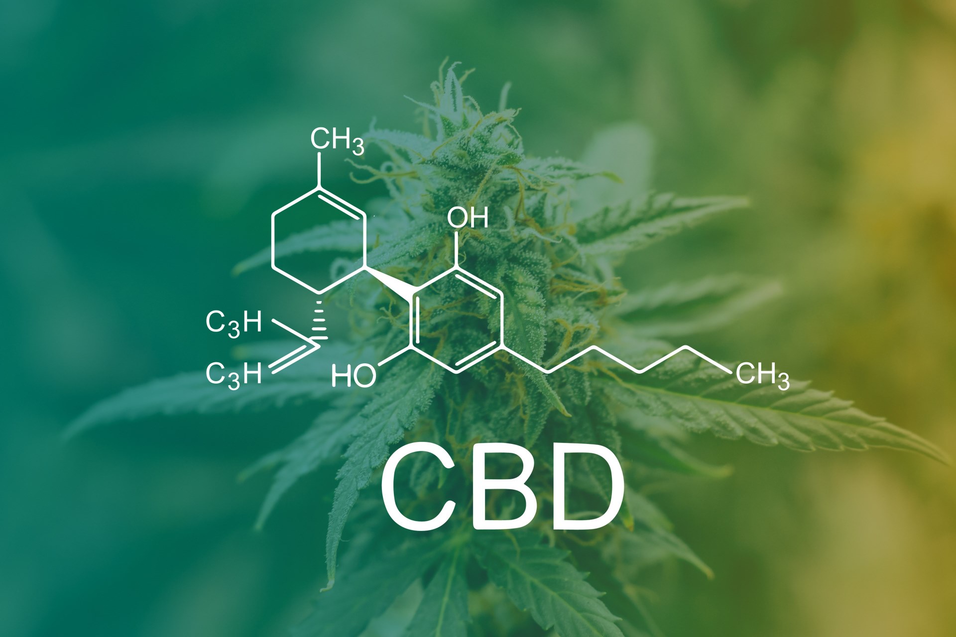 CBD Stats and Facts You Can’t Ignore